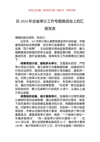 在2024年全省审计工作专题推进会上的汇报发言.docx