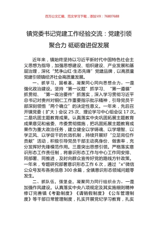 镇党委书记党建工作经验交流：党建引领聚合力+砥砺奋进促发展.docx