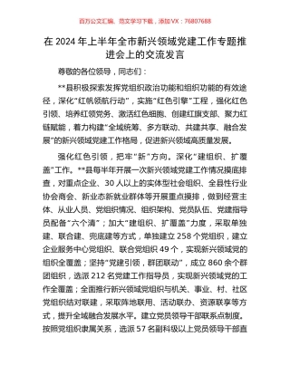 在2024年上半年全市新兴领域党建工作专题推进会上的交流发言.docx