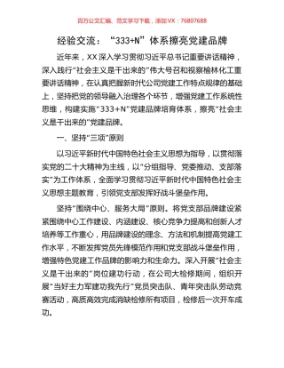 经验交流：“333+N”体系擦亮党建品牌.docx