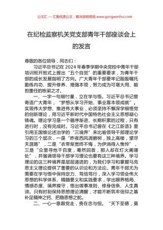 在纪检监察机关党支部青年干部座谈会上的发言.docx