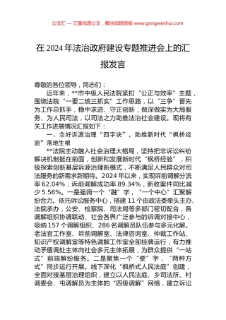 在2024年法治政府建设专题推进会上的汇报发言.docx