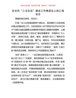 在全市“三支队伍”建设工作推进会上的汇报发言.docx