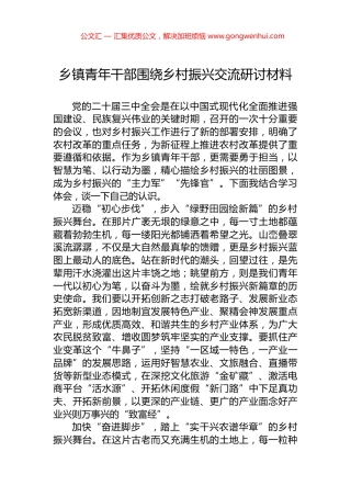 乡镇青年干部围绕乡村振兴交流研讨材料.docx