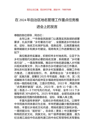 在2024年自治区地名管理工作重点任务推进会上的发言.docx