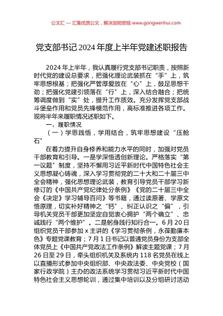 党支部书记2024年度上半年党建述职报告.docx