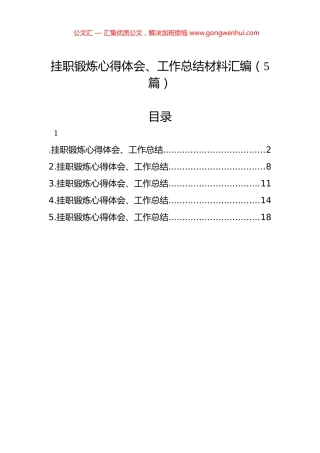 挂职锻炼心得体会、工作总结材料汇编（5篇）.docx