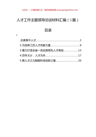 人才工作主题领导访谈材料汇编（5篇）.docx