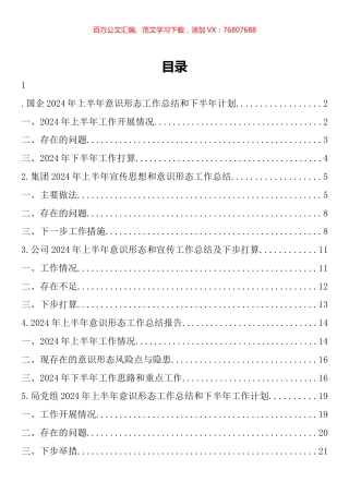 2024年上半年意识形态工作总结汇编.docx