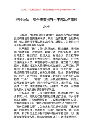 经验做法：综合施策提升村干部队伍建设水平