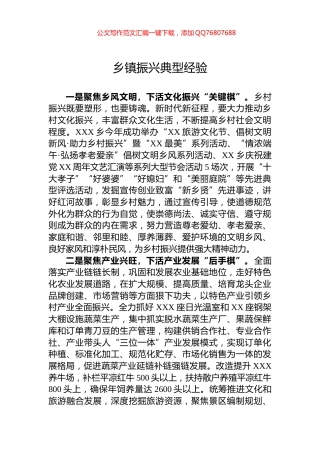 乡镇振兴典型经验