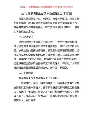 公司落实巡察反馈问题整改工作方案