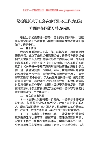 纪检组长关于在落实意识形态工作责任制方面存在问题及整改措施