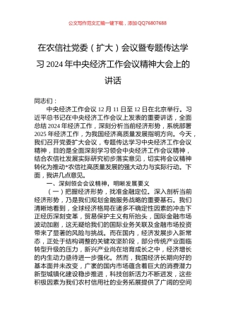 在农信社党委（扩大）会议暨专题传达学习2024年中央经济工作会议精神大会上的讲话