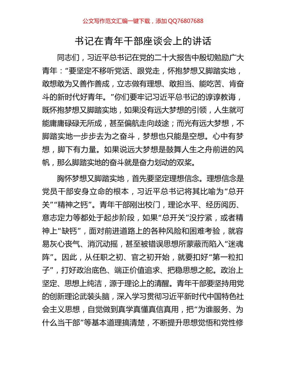 书记在青年干部座谈会上的讲话_第1页