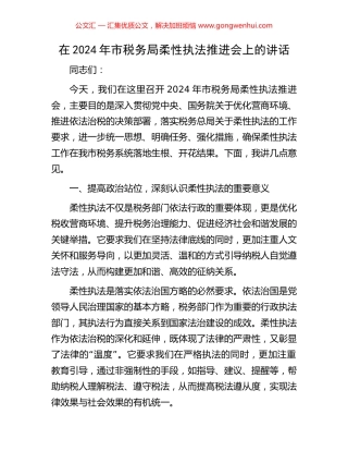 在2024年市税务局柔性执法推进会上的讲话