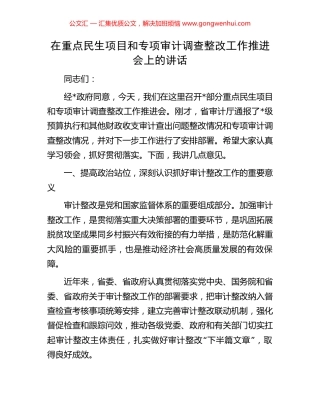在重点民生项目和专项审计调查整改工作推进会上的讲话