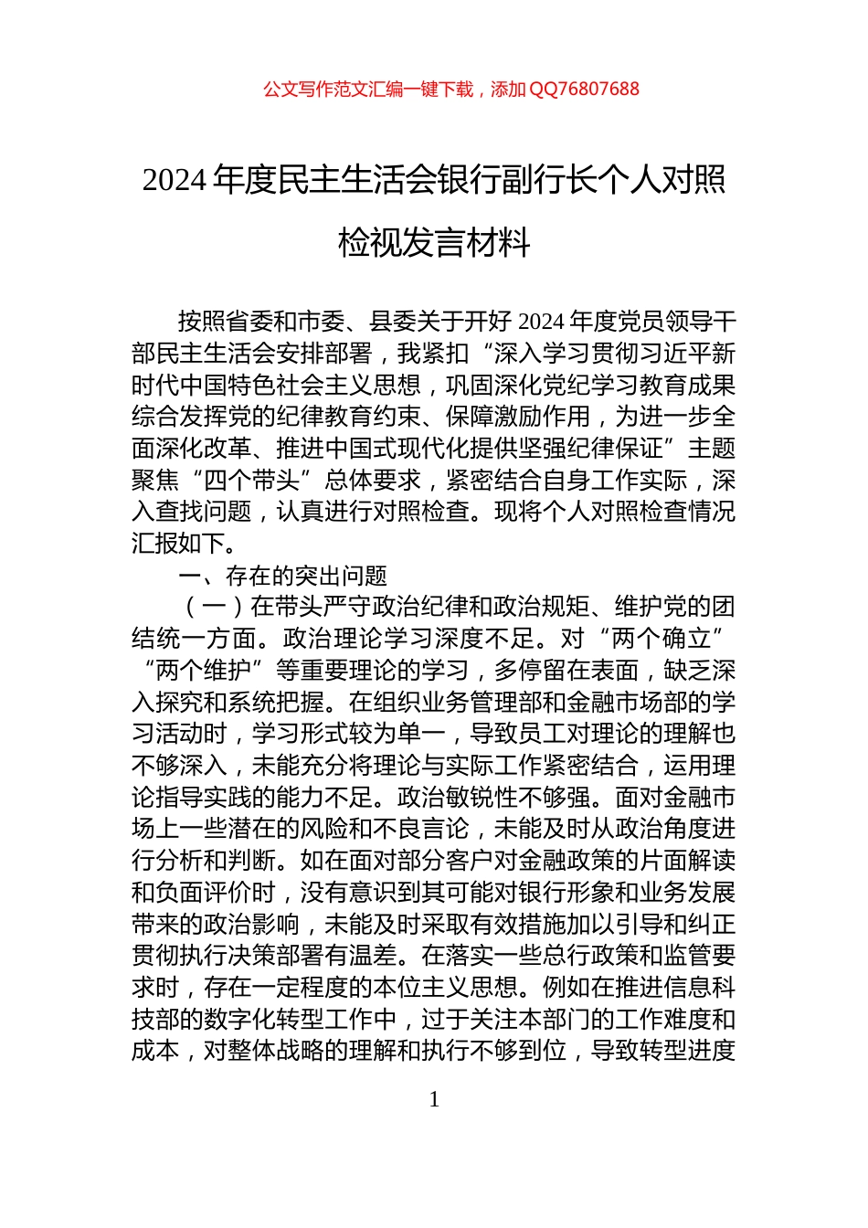 2024年度民主生活会银行副行长个人对照检视发言材料_第1页