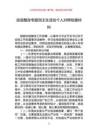 巡视整改专题民主生活会个人对照检查材料