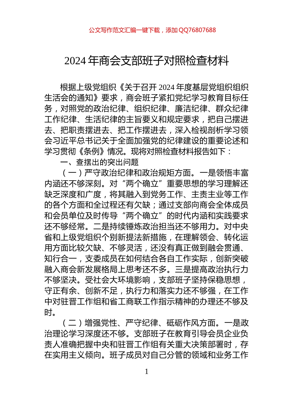 2024年商会支部班子对照检查材料_第1页