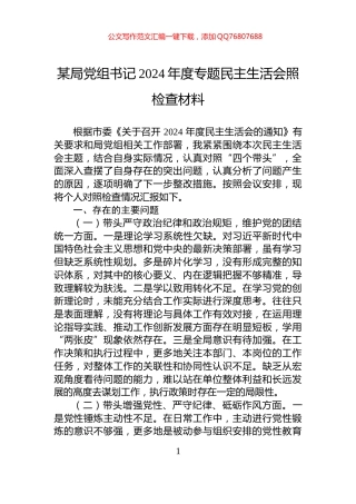 某局党组书记2024年度专题民主生活会照检查材料