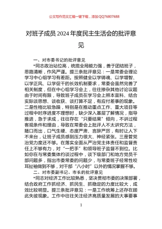 对班子成员2024年度民主生活会的批评意见
