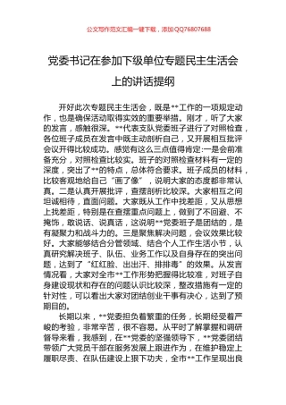 党委书记在参加下级单位专题民主生活会上的讲话提纲