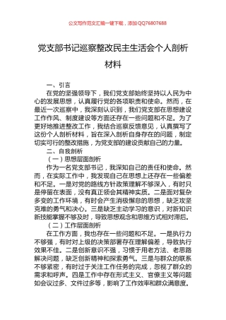 党支部书记巡察整改民主生活会个人剖析材料