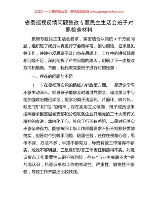省委巡视反馈问题整改专题民主生活会班子对照检查材料