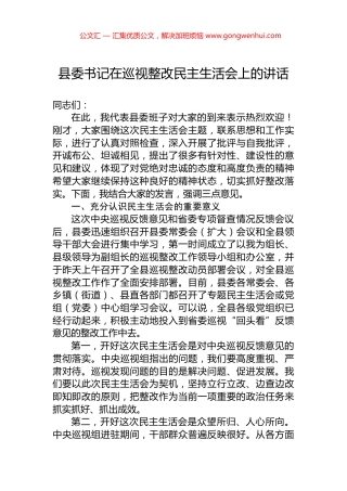 县委书记在巡视整改民主生活会上的讲话 (2)