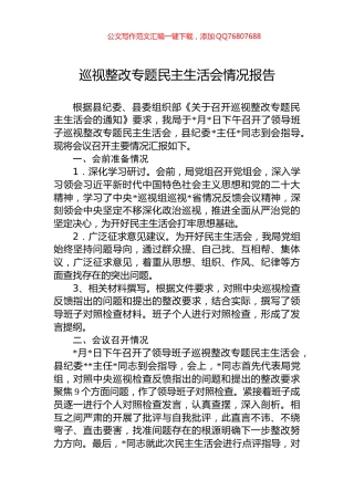 巡视整改专题民主生活会情况报告