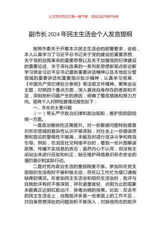 副市长2024年民主生活会个人发言提纲