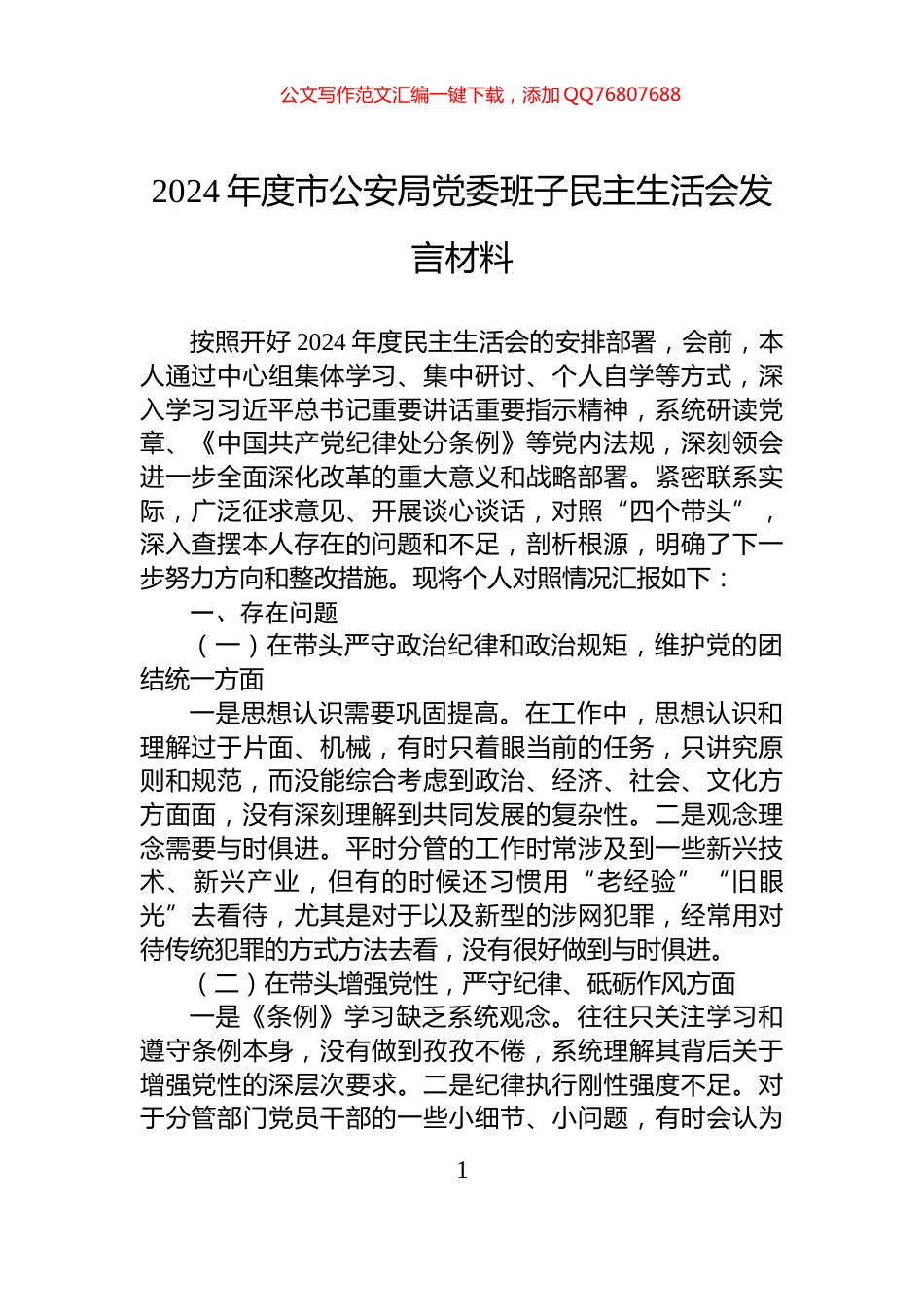 2024年度市公安局党委班子民主生活会发言材料_第1页