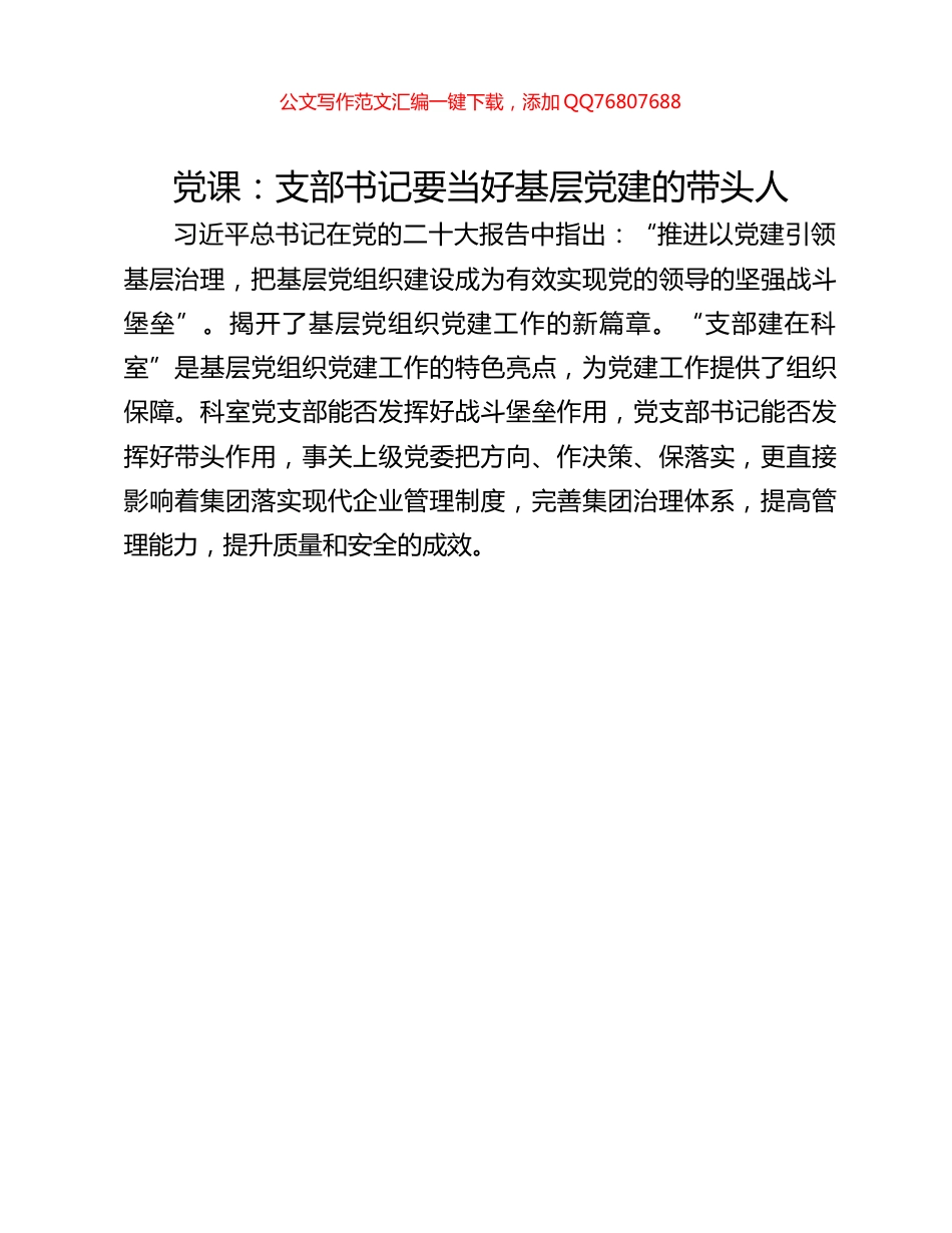 党课：支部书记要当好基层党建的带头人_第1页