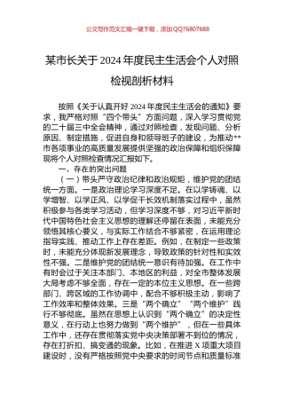 某市长关于2024年度民主生活会个人对照检视剖析材料