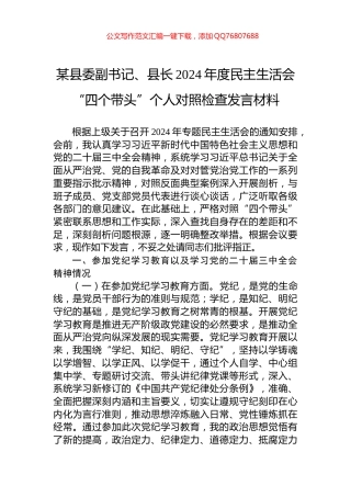 某县委副书记、县长2024年度民主生活会“四个带头”个人对照检查发言材料