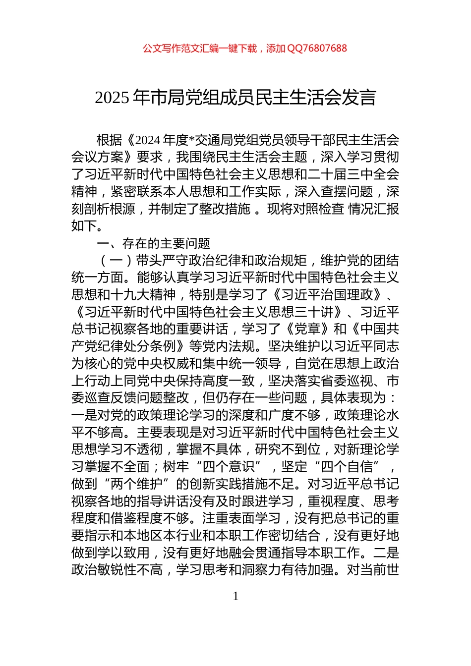 2025年市局党组成员民主生活会发言_第1页