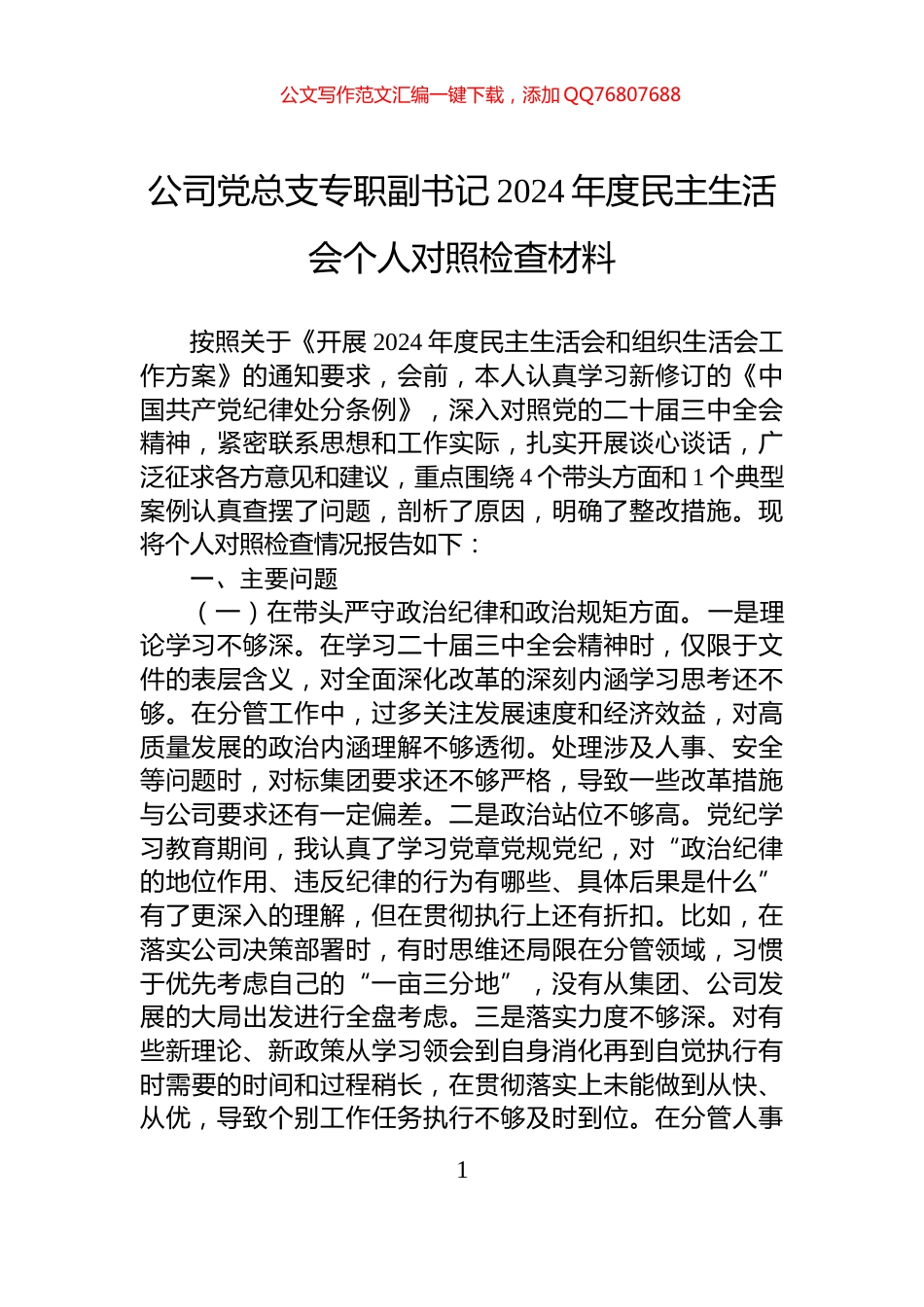 公司党总支专职副书记2024年度民主生活会个人对照检查材料_第1页