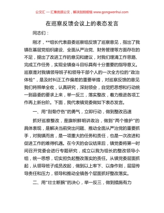 在巡察反馈会议上的表态发言