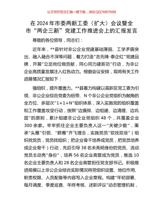 在2024年市委两新工委（扩大）会议暨全市“两企三新”党建工作推进会上的汇报发言