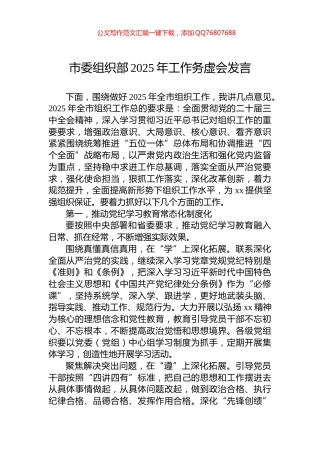 市委组织部2025年工作务虚会发言