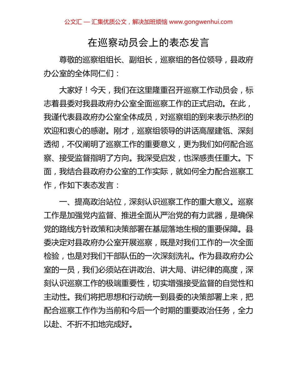 在巡察动员会上的表态发言_第1页