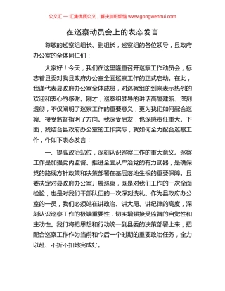 在巡察动员会上的表态发言