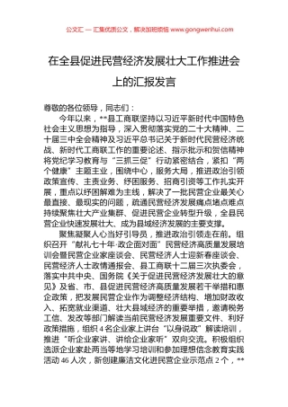 在全县促进民营经济发展壮大工作推进会上的汇报发言