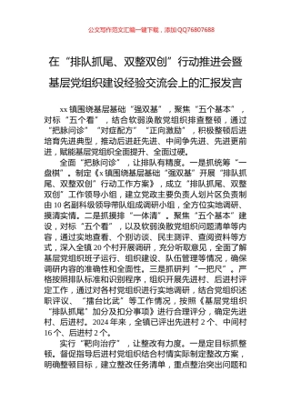 在“排队抓尾、双整双创”行动推进会暨基层党组织建设经验交流会上的汇报发言