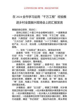 在2024全市学习运用“千万工程”经验推进乡村全面振兴现场会上的汇报发言