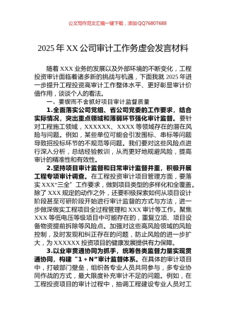 2025年XX公司审计工作务虚会发言材料