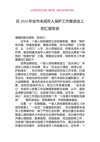 在2024年全市未成年人保护工作推进会上的汇报发言