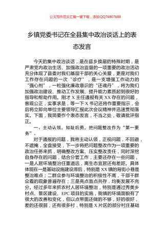 乡镇党委书记在全县集中政治谈话上的表态发言