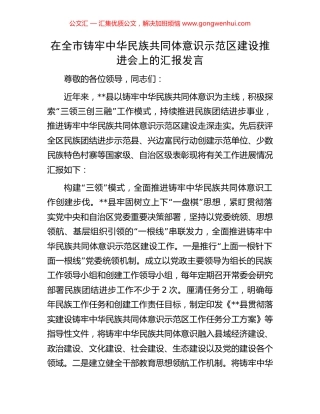 在全市铸牢中华民族共同体意识示范区建设推进会上的汇报发言